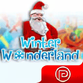 Winter Wonderland