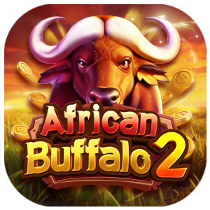 African Buffalo 2