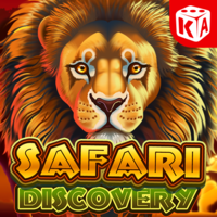 Safari Discovery